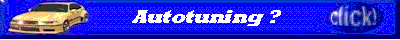 animat.gif (58648 Byte)